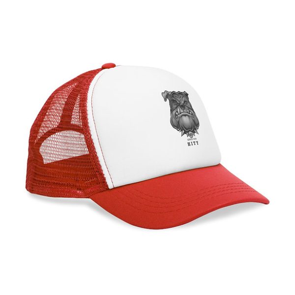 Mesh Cap - Image 12